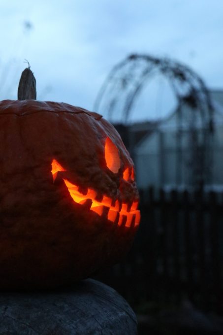 Jack_o_lanterns_2025 (11)